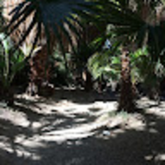 Meet your Posher, Charlie - Picture 1 of 1